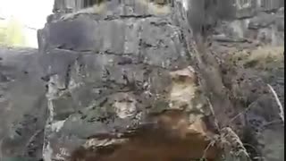 فرید باقری - آموزش علائم شناسی گنج