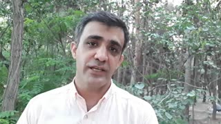 والد، بالغ،کودک