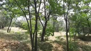 توجه آگاهی1