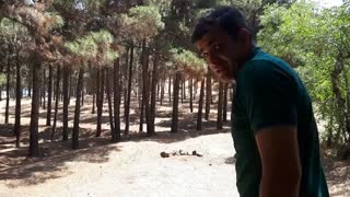 بازی حدس  فاصله