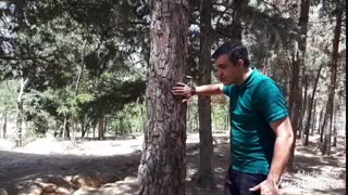 در برابر خشم مثل درخت باشید