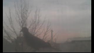 ساخت کلیپ-عکاس-فیلمبردار-حسام الدین شفیعیان با میکس  تب هجران دکلمه صابر خراسانی