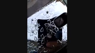 آبکاری فانتاکروم بر روی قاب گوشی