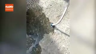 وقتی در پمپ بنزین به جای بنزین، آب تحویل خودروها می دهند!