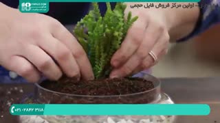 آموزش مرحله به مرحله ساخت تراریوم در منزل