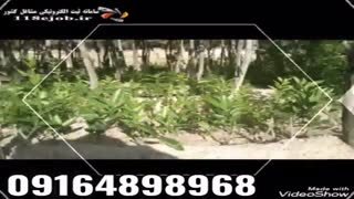 نهالستان پور جمالی در جهرم دندان پیش