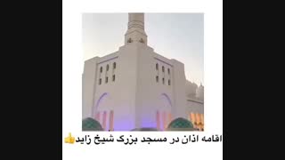 تور دبی-مسجد شیخ زاید