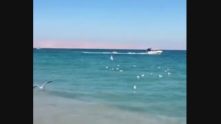 تور کیش با آذرخش