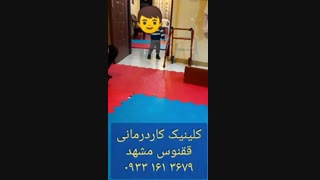 کاردرمانی ققنوس مشهد کمالی فر ۰۹۳۳۱۶۱۳۶۷۹