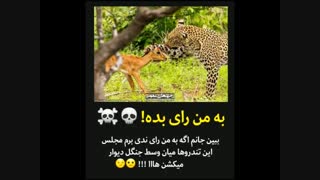 وطن کلینیک مو