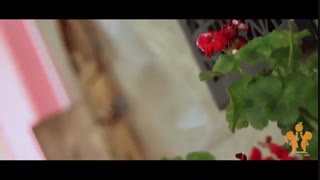 جشن یلدای مهد کودک نارنج