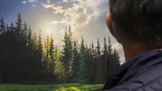 منظره تابستان . رنگ روغن . سبک رئال (Wonderful summer landscape)    2020Artist-Viktor Yushkevich