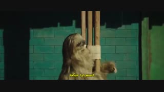 فیلم کره ای باغ وحش مخفی+زیرنویس چسبیده Secret Zoo 2020 با بازی کانگ سو را