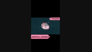 چرخه ی قاعدگی