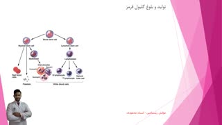 تدریس مجموعه نکات گلبول قرمز توسط استاد محمودی