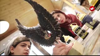 دوره پتینه و رنگ آموزشگاه تصویرگران پویااندیش