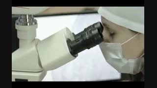 ربات های زنده؛ همزیستان انسان در آینده ی جهان