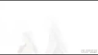 همه همزادهای پتروا