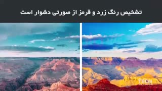دنیا از دید یک کور رنگ