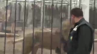 سیم آخر باغ وحش