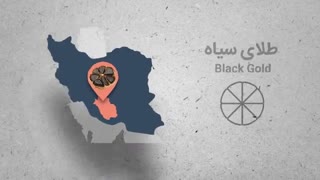 سیر سیاه چیست و چگونه تولید می شود ؟