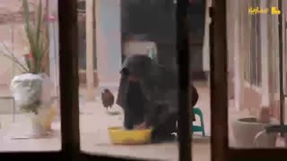 چشم به راه