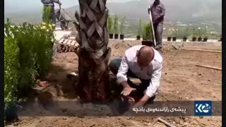 طراحی فضای سبز شرکت جهان سبز