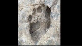 رید باقری - محقق و پژوهشگر علائم باستانی-گنجگرام