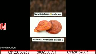 قهوه فوری گانودرما | 09120750932 | قهوه لاته گانودرما | هات چاکلت گانودرما | گانودرما برای دیابت | تقویت سیستم ایمنی بدن