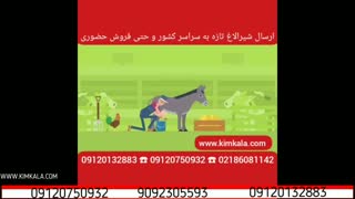 شیر الاغ اصل | درمان سیاه سرفه |09120132883 | سریع ترین راه تقویت سیستم دفاعی بدن | داروی آسم | داروی اگزما پوست