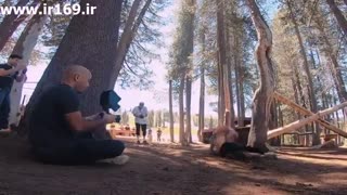 تیزر مستند Bound By Movement 2019