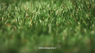 آسیا چمن اولین و بزرگترین تولیدکننده چمن مصنوعی در ایران