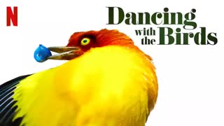 مستند رقص با پرندگان Dancing with the Birds 2019