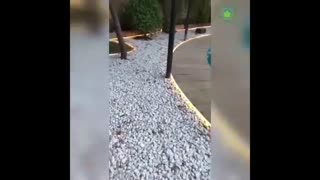 طراحی فضای سبز ویلا