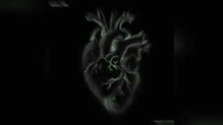 ویژه_سِر از مسلک