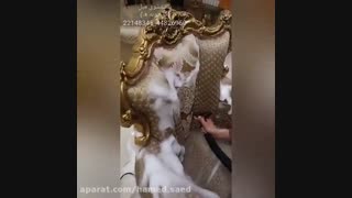 شستشوی مبل در منزل (گل پونه ها) 22148345_44826950