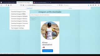 دانلودر اینستاگرام | دانلود فیلم و عکس از اینستاگرام آنلاین