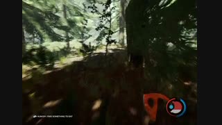 The Forest به صورت لن شبکه