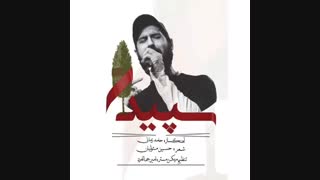حامد زمانی سپیدار