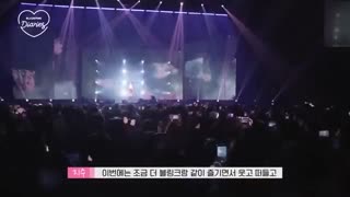 blackpink diaries ep.16