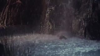 فیلم سلسله یشم Jade Dynasty 2019