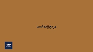 از تلاش برای ساخت اکسیر جوانی تا کشف پرنده ۴۶ هزارساله