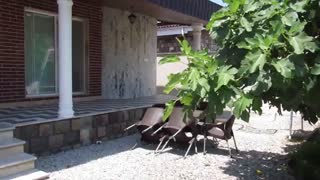 اجاره ویلای جنگلی با جابیت