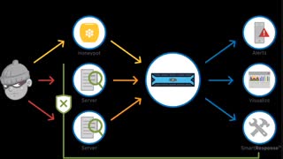 هانی پات چسیت؟
