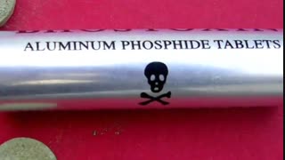 حامد جمالی کارآفرین و تولید کننده ضد بید گیاهی بی بید