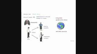 از ویروس کرونا چه می دانید؟