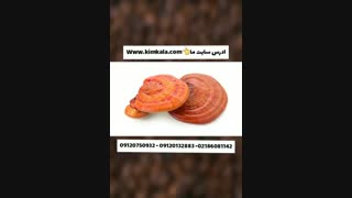 قهوه گانودرما حاوی قارچ گانودرما 09120132883 رفع اضطراب