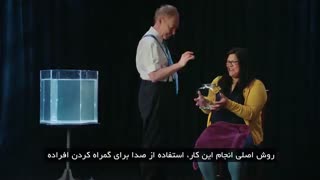 اولین آموزش صفر تا صد شعبده بازی در ایران توسط پن و تلر