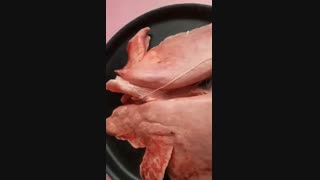 تدریس وبررسی شش وتنفس در جانوران خشک زی _ مدرس سعیده رجبی