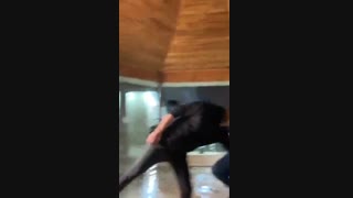 کنسرت اینستاگرام بنیامین بهادری